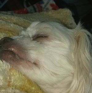 Meet your Posher, Kimon